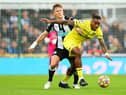 Ivan Toney could return to action for Brentford against Newcastle United (Photo by Alex Livesey/Getty Images)