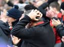 Sunderland fans.
