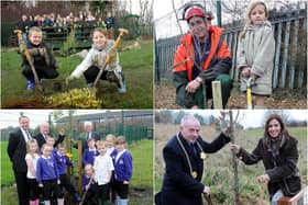 9 tree planting scenes from the past but can you spot someone you know?