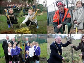 9 tree planting scenes from the past but can you spot someone you know?