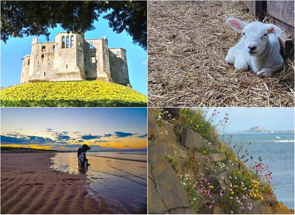 You have been sharing your spring photographs taken across Northumberland.