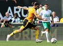 Ruben Neves scored Wolves' opener against Newcastle United in August (Photo by David Rogers/Getty Images)