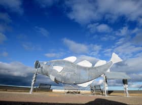 The new fish sculpture in South Shields.
