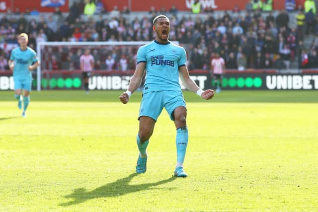 Joelinton celebrates after scoring during the Premier League match between Brentford and Newcastle United (Photo by Luke Walker/Getty Images)