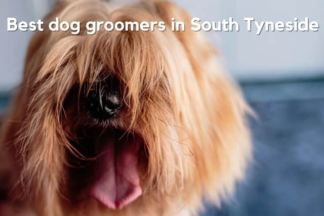 Shields Gazette readers have been nominating their favourite dog groomers across South Tyneside.