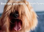 Shields Gazette readers have been nominating their favourite dog groomers across South Tyneside.