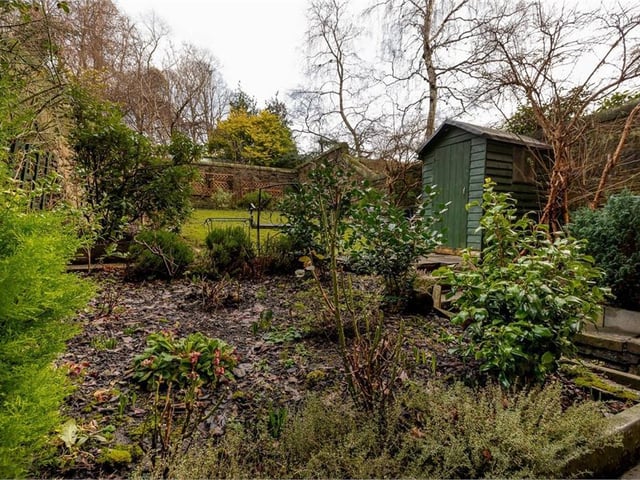 Garden.