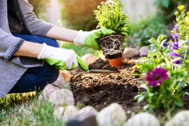 Plant your garden now before extreme weather hits. Photo: Adobe