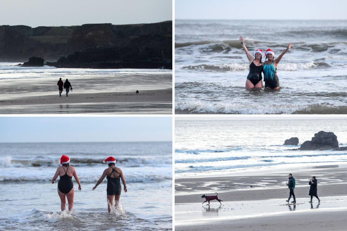 Sandhaven Eight pictures of dogs, dippers and walkers enjoying Christmas morning ...