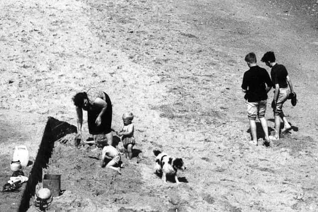 A day at the beach.