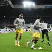 Aleksandar Mitrovic at St James's Park last month.