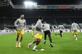 Aleksandar Mitrovic at St James's Park last month.