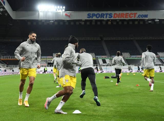 Aleksandar Mitrovic at St James's Park last month.