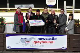 Droopys Deploy