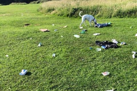 Litter left on The Leas found by local residents earlier this week.