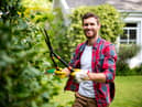 Sixty-three per cent of UK gardeners play music to their plants, research found (photo: Adobe)