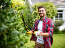 Sixty-three per cent of UK gardeners play music to their plants, research found (photo: Adobe)