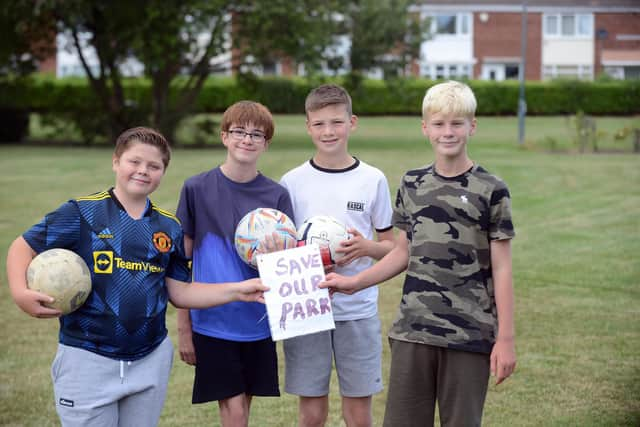 Day of action and picnic to help save Disco Fields in Boldon Colliery from potential housing development.