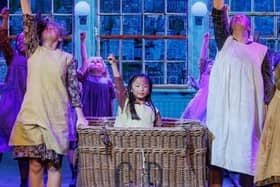 Astravaganza Entertainment previous production of Annie