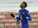 Chelsea's English striker Tammy Abraham celebrates after scoring the opening goal of the English FA Cup fifth round football match between Barnsley and Chelsea.