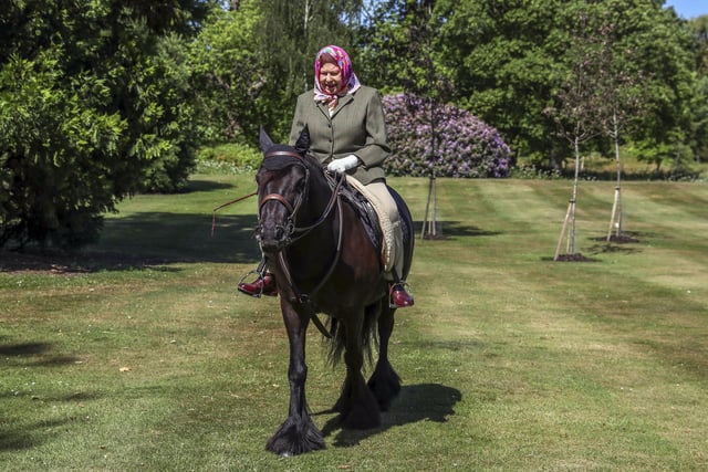 Queen Elizabeth II riding Balmoral Fern in Windsor Home Park. 31/05/20