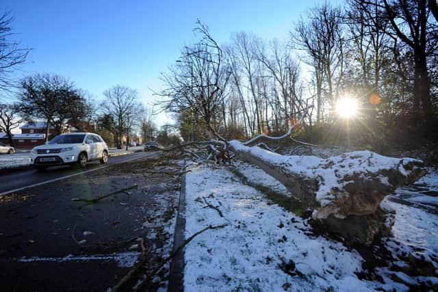 The clean up operation is likely to continue into the new year.