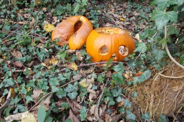 The UK’s largest woodland conservation charity has spotted a worrying trend in people dumping pumpkins.