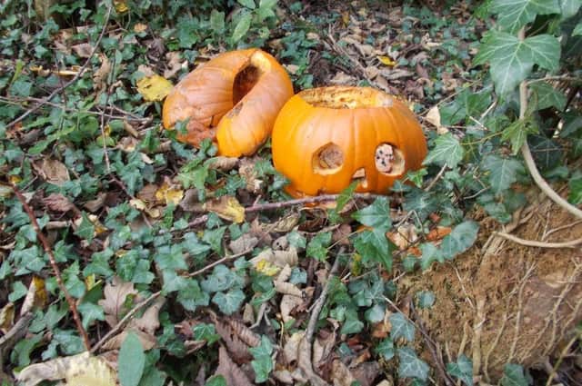 The UK’s largest woodland conservation charity has spotted a worrying trend in people dumping pumpkins.