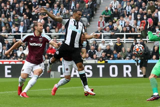 Callum Wilson has a great record in-front of goal against West Ham (Photo by Ian MacNicol/Getty Images)