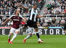 Callum Wilson has a great record in-front of goal against West Ham (Photo by Ian MacNicol/Getty Images)