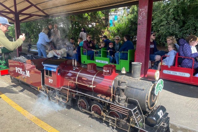 Take a trip on the train in the South Marine park! This is also ideal for the little ones to experience the beauty of the park in a fun way.
