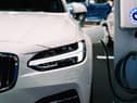 Electric vehicles are here to stay