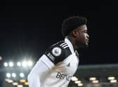 Josh Maja of Fulham looks on during the Premier League match between Everton and Fulham at Goodison Park on February 14, 2021.