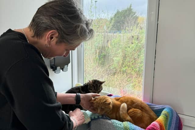 MP Kate Osborne giving two cats some love and attention.