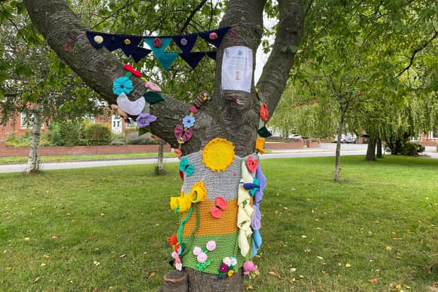 The knitwear keeping the York Road tree warm has put a smile on the faces of passers-by.