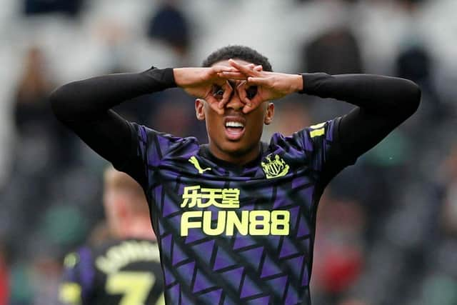 Joe Willock celebrates his eighth goal for Newcastle United.