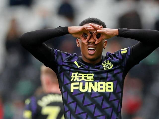 Joe Willock celebrates his eighth goal for Newcastle United.