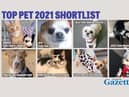 You can vote now in our Top Pet shortlist.