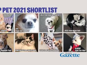 You can vote now in our Top Pet shortlist.