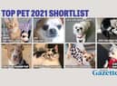 You can vote now in our Top Pet shortlist.