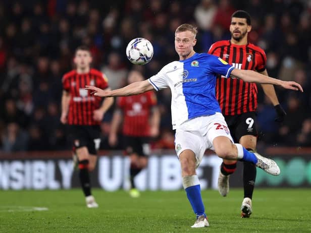 Brighton defender Jan Paul van Hecke