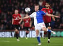 Brighton defender Jan Paul van Hecke