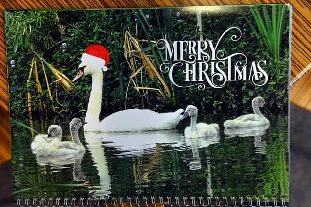 Boldon Pond swans calendar.