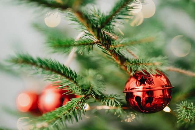 Experts at Gardening Express have identified the key elements to keep an eye out for when shopping for festive fir (photo: Pexels)
