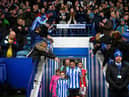 Sheffield Wednesday. (Photo by Clive Mason/Getty Images).