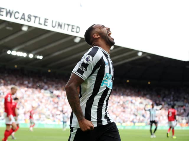Callum Wilson of Newcastle United celebrates scoring their side's second goal during the Premier League match between Newcastle United and Nottingham Forest at St. James Park on August 06, 2022 in Newcastle upon Tyne, England. (Photo by Jan Kruger/Getty Images)