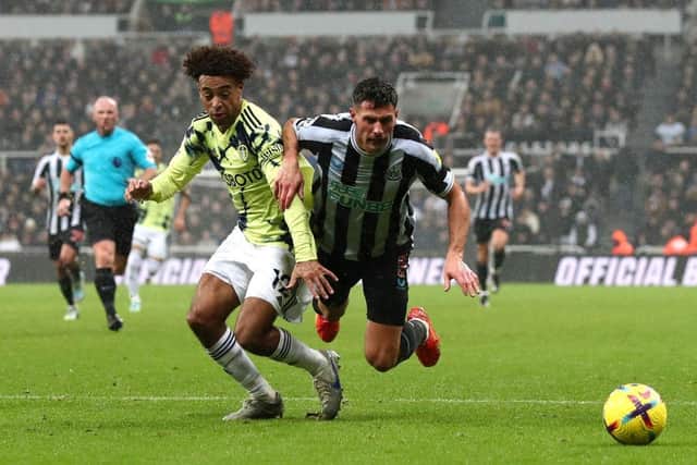 Newcastle United's Fabian Schar takes a tumble in the box under pressure from Tyler Adams.