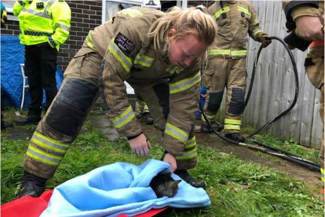 FF Joanne Gout gave the pet emergency lifesaving treatment.