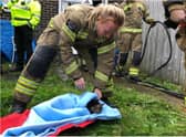FF Joanne Gout gave the pet emergency lifesaving treatment.