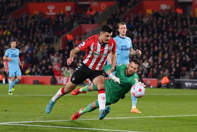 Armando Broja in action for Newcastle United against Southampton  (Photo by Mike Hewitt/Getty Images)